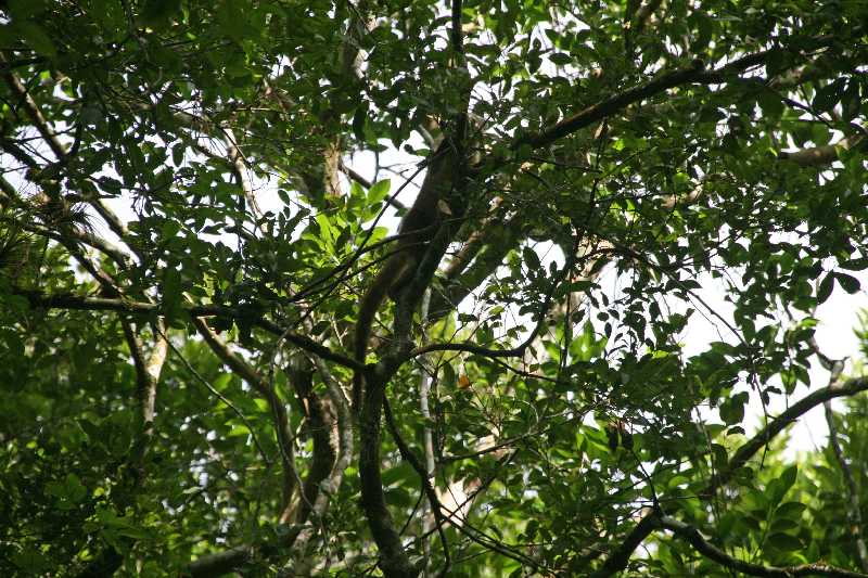 Mexico & Guatemala 2010 - 1066